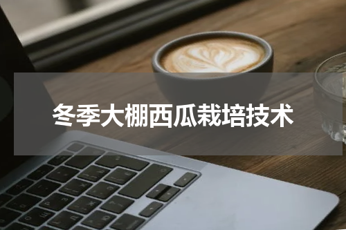 冬季大棚西瓜栽培技术