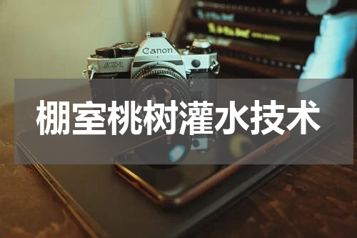 棚室桃树灌水技术