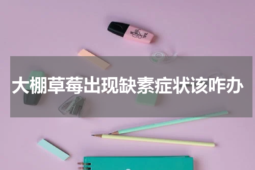 大棚草莓出现缺素症状该咋办