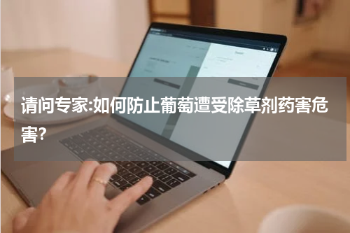 请问专家:如何防止葡萄遭受除草剂药害危害？