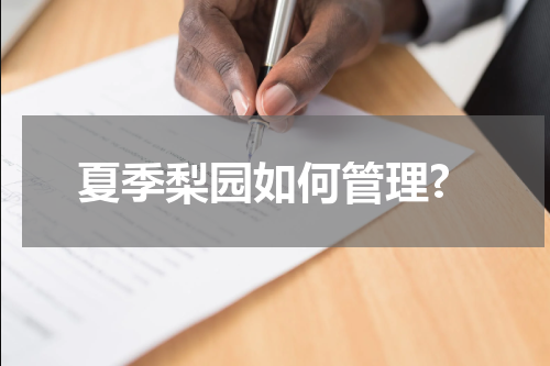 夏季梨园如何管理?