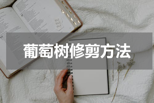 葡萄树修剪方法