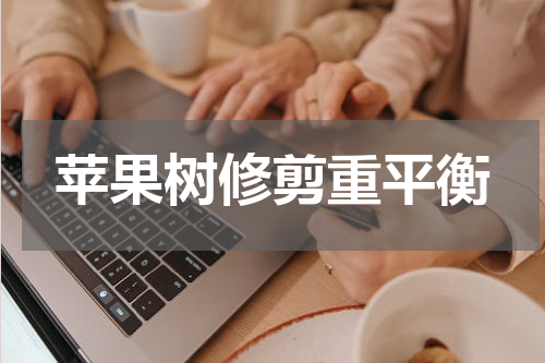 苹果树修剪重平衡