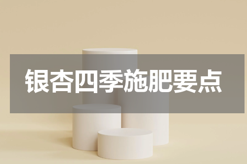 银杏四季施肥要点