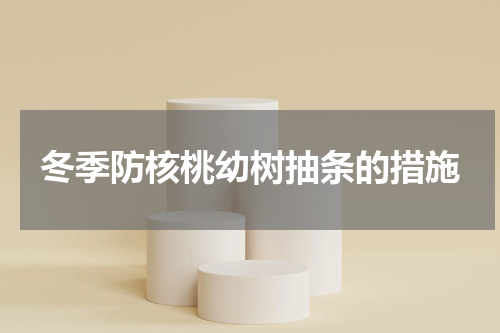 冬季防核桃幼树抽条的措施