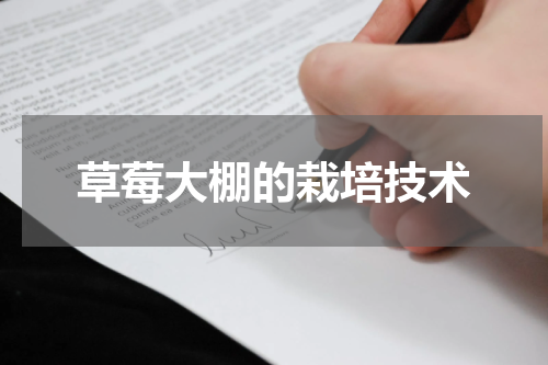 草莓大棚的栽培技术
