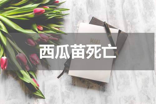 西瓜苗死亡