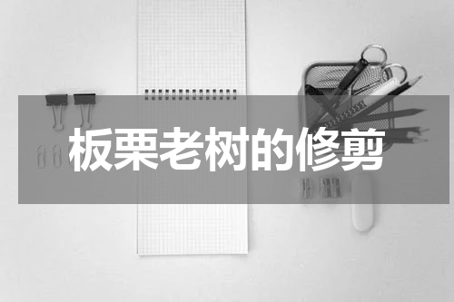 板栗老树的修剪