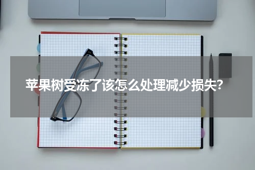 苹果树受冻了该怎么处理减少损失？
