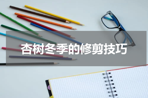 杏树冬季的修剪技巧