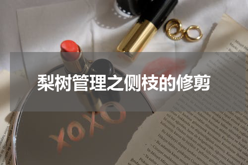 梨树管理之侧枝的修剪