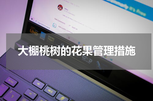 大棚桃树的花果管理措施