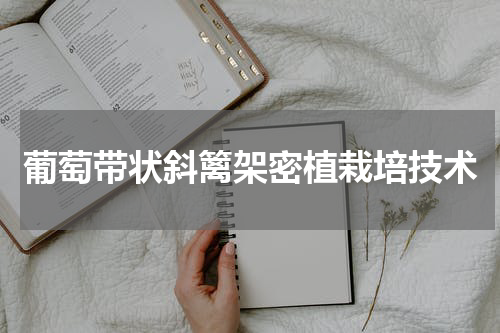 葡萄带状斜篱架密植栽培技术