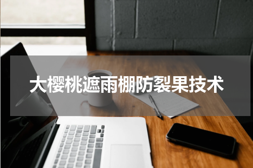 大樱桃遮雨棚防裂果技术