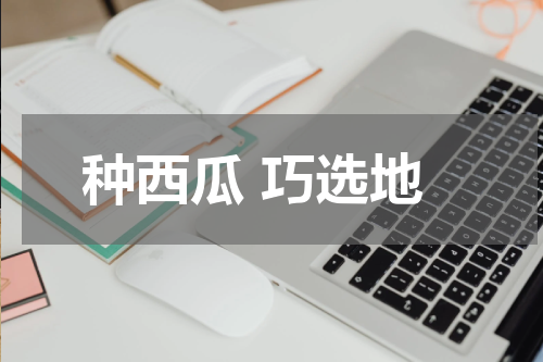 种西瓜 巧选地