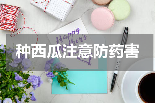 种西瓜注意防药害