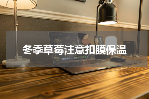 冬季草莓注意扣膜保温