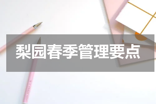 梨园春季管理要点