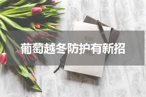葡萄越冬防护有新招