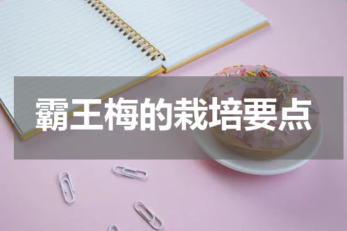 霸王梅的栽培要点