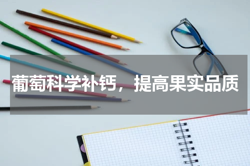 葡萄科学补钙，提高果实品质