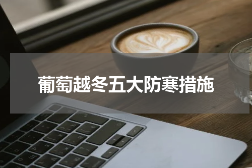 葡萄越冬五大防寒措施