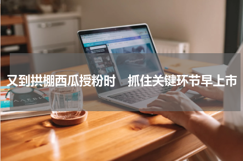 又到拱棚西瓜授粉时　抓住关键环节早上市