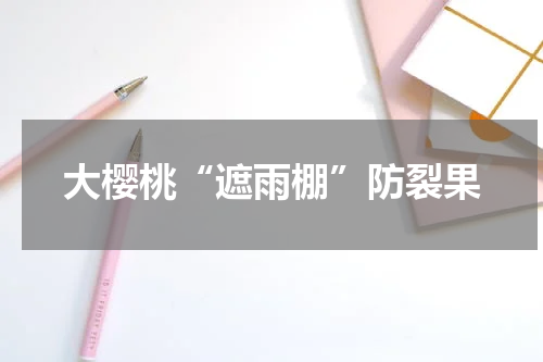大樱桃“遮雨棚”防裂果