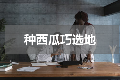 种西瓜巧选地