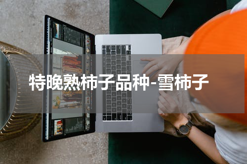 特晚熟柿子品种-雪柿子