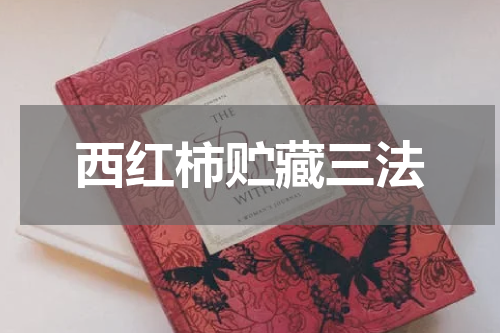 西红柿贮藏三法