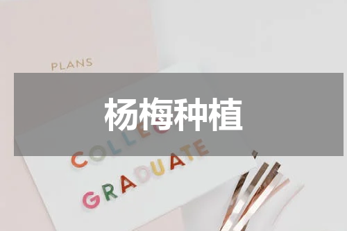 杨梅种植