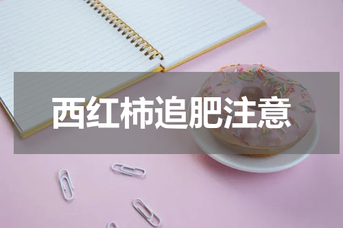 西红柿追肥注意