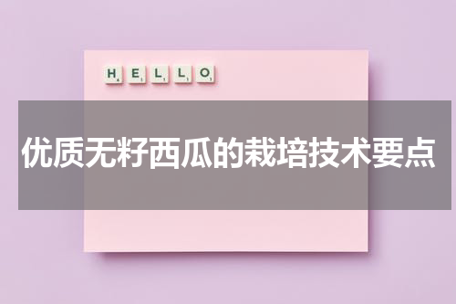 优质无籽西瓜的栽培技术要点