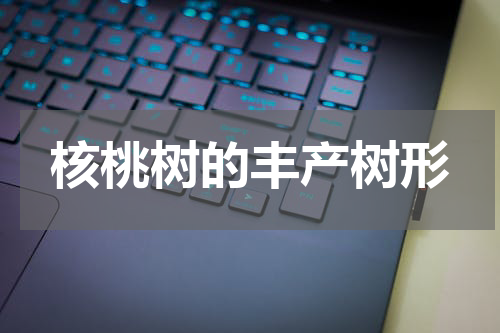 核桃树的丰产树形