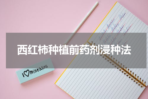 西红柿种植前药剂浸种法