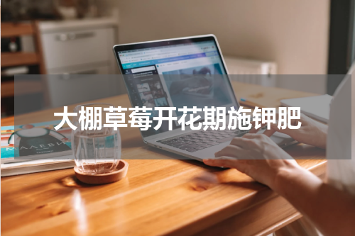 大棚草莓开花期施钾肥