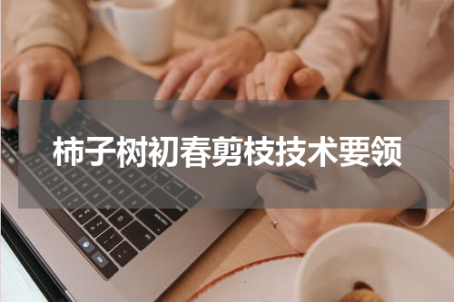 柿子树初春剪枝技术要领
