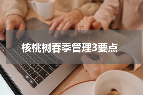 核桃树春季管理3要点