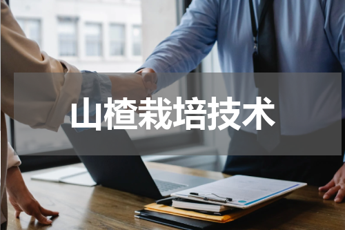 山楂栽培技术