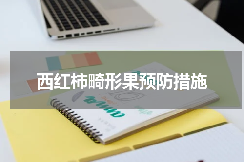 西红柿畸形果预防措施