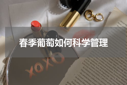 春季葡萄如何科学管理