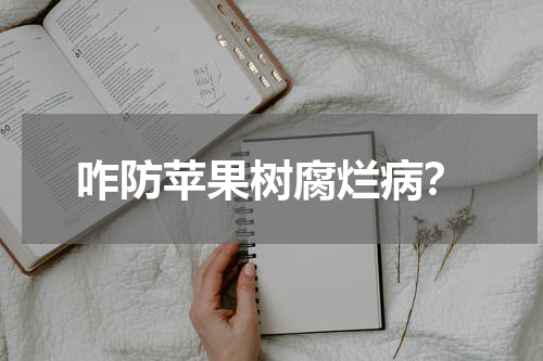 咋防苹果树腐烂病？