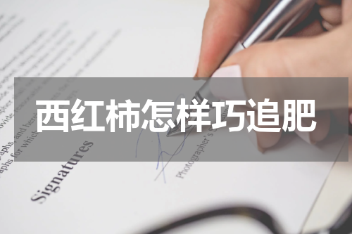 西红柿怎样巧追肥