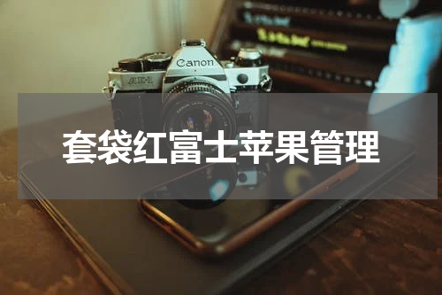 套袋红富士苹果管理