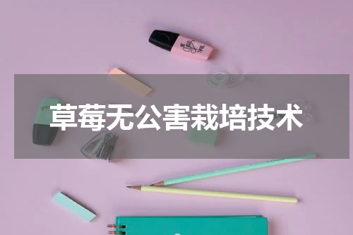 草莓无公害栽培技术